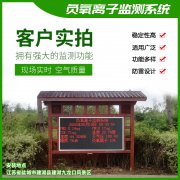 去公園吸氧，看看負(fù)氧離子在線監(jiān)測儀！